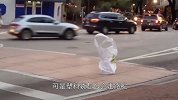 白色“生物”大摇大摆过马路，网友-细思极恐！镜头记录全过程