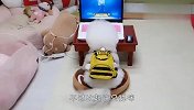 狗狗看电视入迷，一边看一边模仿，怕不是戏精附体了吧？
