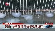 水母激增干扰核电站运行蜇伤游客-7月8日