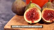 无花果白汁的功效，带你了解