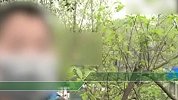 为充值游戏！熊孩子喊奶奶点头眨眼骗绑银行卡