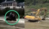 装载机载人过桥瞬间连人带车被洪水冲走 视频拍下惊险画面