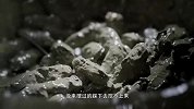 福建大哥挖蛏子40年，手法技巧一流，一早上挖上千斤