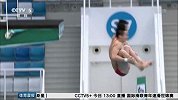 跳水-16年-世界跳水系列赛 中国跳水梦之队日收四金-新闻