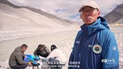西藏日与夜丨第7集 珠峰上的环境监测