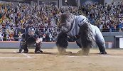 电影《大明猩》 当大猩猩学会打棒球 还让人类怎么玩？