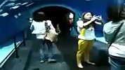 旅游-上海海洋馆（2012）