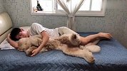 听说养狗的男生找不到女朋友，看到这一幕，能找到才怪！