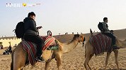 登塔冲沙骑骆驼畅游阿联酋 国足助威团告别之旅处处是惊喜