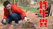 小伙回村回忆童年！先炸一大坨牛粪感受下春节的气息！