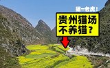 贵州山区地名很奇特，用中国12生肖来命名，外地人经常被误会