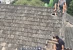 男子夜晚经常听到怪叫，掀开自己的瓦片后，发现藏着数百只动物！