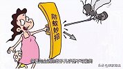 蚊子什么季节就没有了