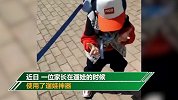 太可爱！当遛娃遇上遛狗 萌娃的反应让人哭笑不得