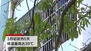 5岁男孩发烧5天咳嗽47天 真凶竟是一颗花生米