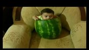 现实版的西瓜太郎诞生啦！