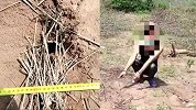四网友踩点合伙盗古墓才挖一米就放弃：太苦了
