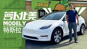 千呼万唤始出来 开箱Model Y | 萝卜北美