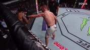 UFC-18年-本周最佳KO：盖奇一招鲜吃遍天 连续膝击KO约翰逊-精华
