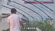 “看这小伙中不中！”河南一村发布“脱单悬赏”，村支书开启视频说媒，相亲群已几百人