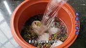 高温天，多给家人喝这一碗四物汤，消暑好喝，我家孩子一次喝3碗