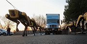 波士顿机器狗又来了，10只机器狗拉卡车，网友：画面壮观