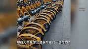 骑16分钟花50元，游客遇“单车刺客”！起步价就30元