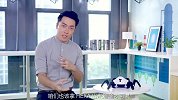 Vincross HEXA 机器人体验 王自如的现实极客梦