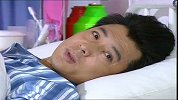 随爱而飞