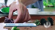【乐活家居】多肉植物要死了？这样可以让它起死回生