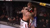 UFC-14年-UFC ON FOX12前瞻：盖达精彩对战集锦-专题