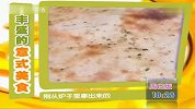 食全食美-20110424-龙虾仔煲粥