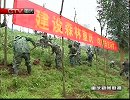 重庆新闻联播-20120313-阳春三月植树忙,巴渝大地添新绿