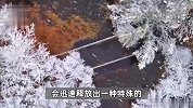 降雪能冻死病毒？下场雪生病的人就少了？真相来了