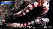 世界各大深海中最可怕的幽灵鲨鱼