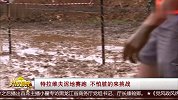 特拉维夫泥地赛跑开赛 和淤泥大战八百回合怕脏别来
