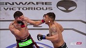 UFC-14年-UFC172：UFC172高光时刻-精华