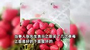 男子超市买盆装草莓半盆是烂菜叶：很失望，没想到大超市也有