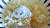 入秋后要多喝银耳羹，只需记住这几点，保证银耳出胶快速味道香甜