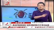 生活-恙虫叮咬致丧命专家提醒傍晚勿在草地玩耍