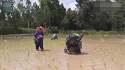 有想法的农民小哥打扮成铁血战士插秧，然而这效率感人