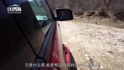 当越野霸主遇上越野圣地，福特撼路者，让你看看什么叫最强动力SUV!