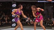 UFC-14年-UFC Fight Night 52日本站前瞻：塔特对战集锦-专题