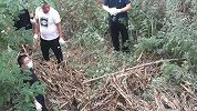 山东男子捅伤妻子 送医途中又将其扼颈致死并抛尸