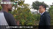 一年卖1.7吨咖啡豆！井贤栋逛非洲咖啡园：这咖啡豆和大豆一样嘛