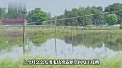电线裸露水田2人触电身亡，家属称曾报修未获处理，村干部回应