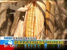 美四处挑起贸易摩擦 欧盟正式开始对美国产品加征关税