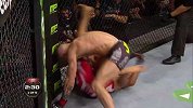 UFC-16年-UFC196自由格斗：麦格雷戈vs布兰道-专题