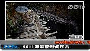 （热点）回顾2011Getty新闻度最佳图片-12月2日