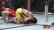 UFC-14年-终极斗士第10集：羽量级八强赛李俊翰vs何健伟-专题